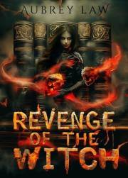 Revenge of the Witch : Books 1-5