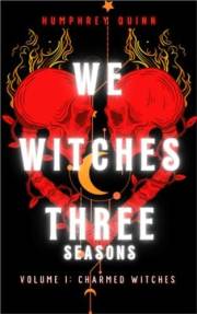 Charmed Witches (We Witches Three Seasons Book 1)