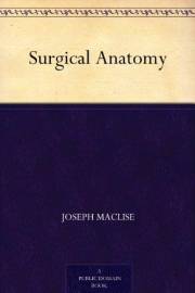 Surgical Anatomy