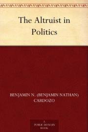 The Altruist in Politics