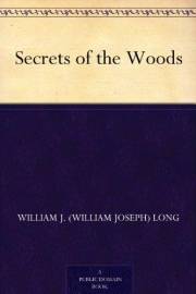 Secrets of the Woods