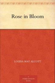 Rose in Bloom Rose in Bloom