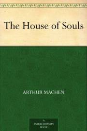 The House of Souls