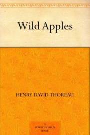 Wild Apples Wild Apples