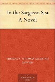 In the Sargasso Sea A Novel