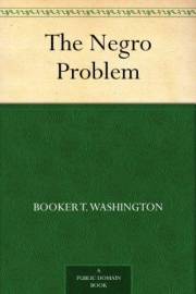 The Negro Problem