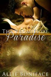 The Promise of Paradise: A Friends to Lovers Small Town Romance (Hometown Heroes Prequel) (Hometown Heroes series)