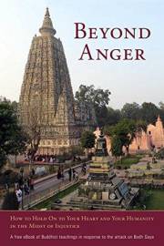 Beyond Anger: How to Hold On to Your Heart and Your Humanity in the Midst of Injustice