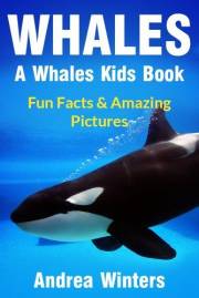 Whales for Kids - Learn Fun Facts About The Different Type of Whale Species In This Whale Book for Kids (Whale Facts for Kids