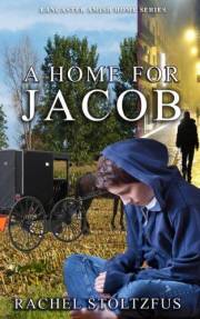 A Lancaster Amish Home For Jacob