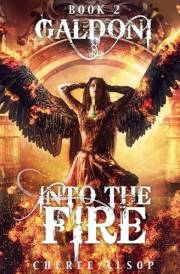 Galdoni Book Two: Into the Fire