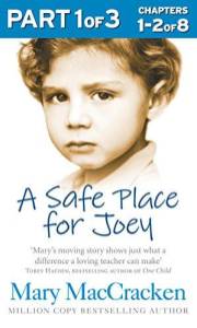 A Safe Place for Joey: Part 1 of 3: A True Story Memoir of Teaching Children with Learning Disabilities