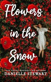 Flowers in the Snow: A Powerful Coming-of-Age Novel Set in the Segregated South (The Edenville Series Book 1)