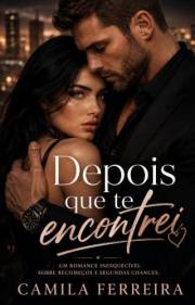Depois que te Encontrei ( Livro único ) (Portuguese Edition)