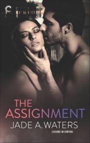 The Assignment (Lessons in Control Book 1)