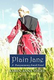 Plain Jane: A Punxsutawney Amish Novel