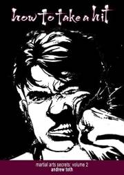 How to Take a Hit: martial arts secrets - volume 2