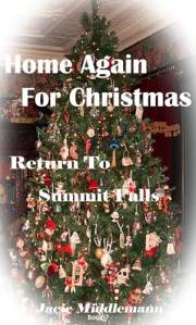 Home Again for Christmas (Return to Summit Falls Book 7)