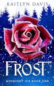 Frost (Midnight Ice Book 1)