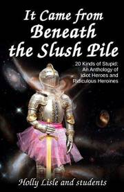 It Came From Beneath the Slush Pile: 20 Kinds of Stupid: An Anthology of Idiot Heroes and Ridiculous Heroines