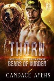 THORN: Cozy Spicy Small Town Grizzly Shifter Romance (Bears of Burden Book 1)