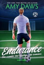 Endurance: Enemies to Lovers Fake Dating Romance (Harris Brothers Book 2)