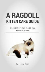 A Ragdoll Kitten Care Guide: Bringing Your Ragdoll Kitten Home