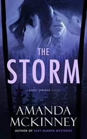The Storm (Small Town Romantic Suspense): A Berry Springs Novel