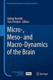 Micro-, Meso- and Macro-Dynamics of the Brain (Research and Perspectives in Neurosciences)