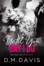 Until You Say I Do: Book 3 in the Until You Series