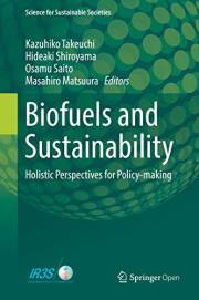 Biofuels and Sustainability: Holistic Perspectives for Policy-making (Science for Sustainable Societies)