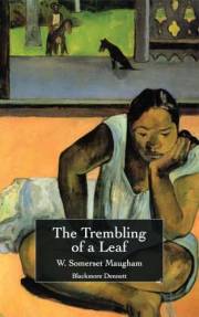 The Trembling of a Leaf