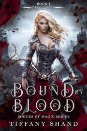 Bound By Blood (Rogues of Magic Series Book 1)