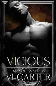 Vicious: An Irish Mafia Romance (Wild Irish Book 1)