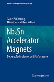Nb3Sn Accelerator Magnets: Designs, Technologies and Performance (Particle Acceleration and Detection)