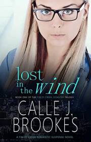 Lost in the Wind (Finley Creek Book 9)