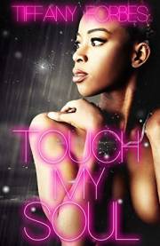 Touch My Soul: An Urban Fiction Love Story