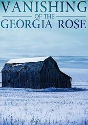 The Vanishing of The Georgia Rose (A Riveting Kidnapping Mystery Series Book 8)