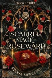 Thief (The Scarred Mage of Roseward Book 1)