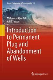 Introduction to Permanent Plug and Abandonment of Wells (Ocean Engineering & Oceanography Book 12)