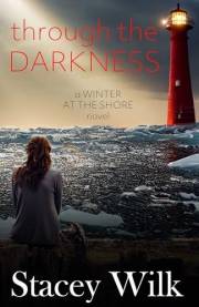Through the Darkness (Winter at the Shore Book 2)
