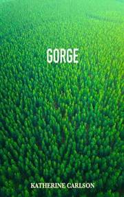 GORGE: a novel of suspense