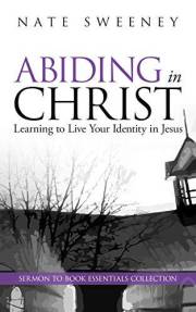 Abiding in Christ: Learning to Live Your Identity in Jesus