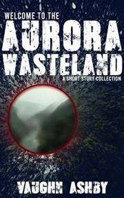 Welcome to the Aurora Wasteland