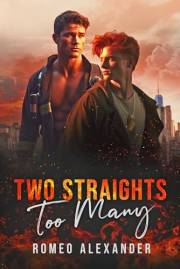 Two Straights Too Many (Heroes of Port Dale Book 1)