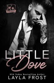Little Dove (Black Resorts Book 1)