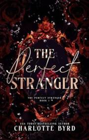 The Perfect Stranger: A second-chance mafia secret billionaire romance