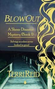 BlowOut: A Shear Disaster Mystery (Book One)