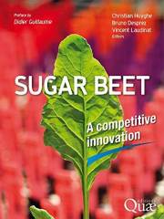 Sugar beet: A competitive innovation