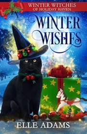 Winter Wishes: A Christmas Paranormal Cozy Mystery